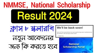 class 8 National scholarship result 2024 📯 NMMSE Scholarship 2024 Application 🧾 Information NMMS [upl. by Akemaj]