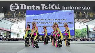 Golden Lotus malang in lenggang jawa Duta flamboyan ex ma cung by laose Tjin Ce duta taichi [upl. by Eidoow64]