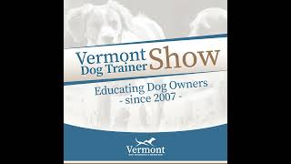 Dog Training is NOT Hours per Day  Talking Dogs Radio Show [upl. by Undine]