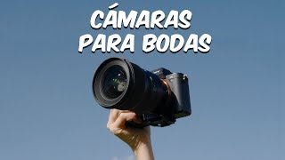 Que cámara usar si quiero dedicarme a Bodas  Información para nuevos Videógrafos y Fotógrafos [upl. by Ydospahr]