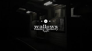 wallows ⋆ tommy docherty  lyrics [upl. by Lurlene525]