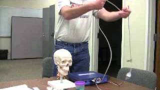 Michael Donnelly EEG lesson part 1 [upl. by Annoiek]