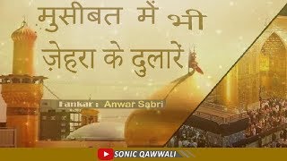 Musibat Mein Bhi Zehera ke Dulare  Latest Qawwali Audio  Anwar Sabri  Latest Qawwali 2017 [upl. by Aicnelav174]