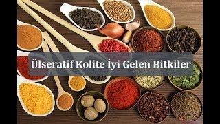 Ülseratif Kolite İyi Gelen Bitkiler [upl. by Nezam]