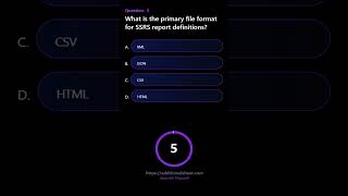 What is the primary file format for SSRS report definitions [upl. by Eenert78]