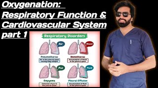 Oxygenation Respiratory Function amp Cardiovascular System part 1 [upl. by Kassel607]