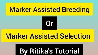 Marker Assisted Selection or Marker Assisted Breeding by Ritikas Tutorial [upl. by Arlie]