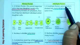 Q Difference between Binary fission and Multiple Fission  Asexual Reproduction  Class10 Science [upl. by Gahan690]