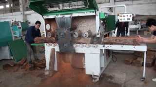 Arterki Plank Multirip Saw Machine MJ3016 with cutting KOSSO of Africa [upl. by Adel]