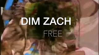 Soup Dragons  I am free Dim Zach edit [upl. by Lebasi]