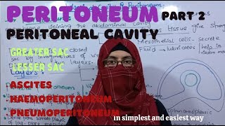 Peritoneal Cavity  part 2 Greater sac Lesser sac clinical problems ayeshamedicaleducation [upl. by Cohligan]