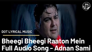 Bheegi Bheegi Raaton Mein  Adnan Sami  Audio Song [upl. by Ulani]