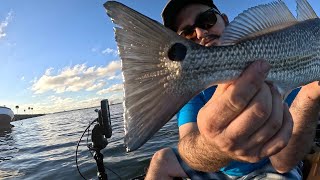 Jetty Park Kayak Trip 4k [upl. by Lirva]