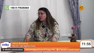 Conversamos con Irene Ramírez Seremi de Agricultura [upl. by Acinnor]