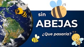 ¿Qué pasaría si todas las abejas desaparecieran [upl. by Dugas]