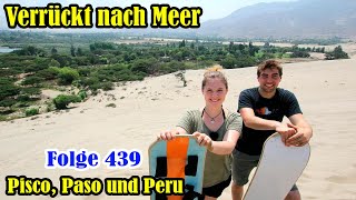 Verrückt nach Meer Folge 439  Pisco Paso und Peru [upl. by Anilave]