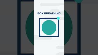 Box Breathing 4444  Paced Breathing  Dialectical Behavioral Therapy DBT  Distress Tolerance [upl. by Zeuqirdor876]