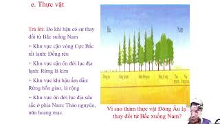 cùng học địa lí với nguyễn bồng 44 [upl. by Naghem186]