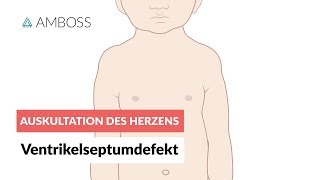 Ventrikelseptumdefekt  Auskultation des Herzens  Folge 11 [upl. by Dorey]