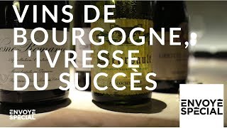 Envoyé spécial Vins de Bourgogne livresse du succès  18 octobre 2018 France 2 [upl. by Ladnor833]