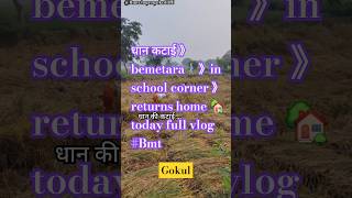 धान कटाई 》bemetara🚶‍♂️》in school corner 》returns home 🏡 today full vlog Bmt [upl. by Zuliram97]