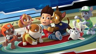 Ryder Calls PAW Patrol Pups to the Lookout Tower 5 w Skye  2 minutes  Nick Jr cartoonkids [upl. by Durtschi926]