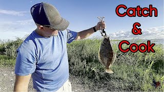 How to Catch and Cook the Perfect Flounder [upl. by Jaf]