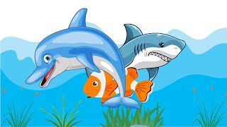 different types of fish songs  fish songs  learning fish song  little kids [upl. by Ecirehc427]