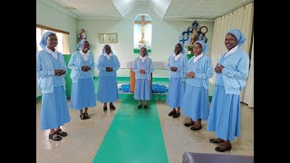 MISSIONARY CONGREGATION OF THE EVANGELIZING SISTERS OF MARYFIRST PROFESSION CELEBRATION NAKURU [upl. by Ahsikyt617]