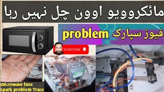 Microwave oven not working due to blown fuseamp Solution [upl. by Fabyola]