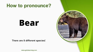 How to pronounce Bear Correctly in English [upl. by Arem]