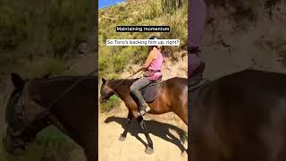 Maintaining Momentum when Riding Your Horse [upl. by Eniawtna277]