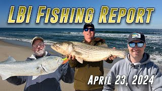 LBI Fishing Report 42324  Bluefish Arrived [upl. by Buhler]