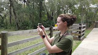 Paynes Prairie Preserve State Park Camping Trip Part 11 [upl. by Buckingham618]