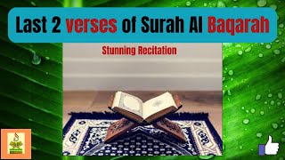 Amana Rasul 100 Times  Surah Baqarah  Last 2 verses 285286  Amana Rasul Repeat 3x To Memorize [upl. by Arhez]