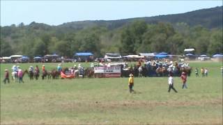 National Chuckwagon Races 2012 [upl. by Dnalkrik]