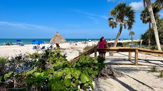 Robb’s Saturday Morning Update from Lowdermilk Park Beach in Naples FL 021123 [upl. by Iborian236]