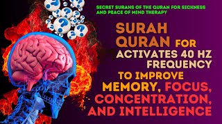 Best Surah Quran  For Activates 40Hz Freq to Improve Memory Focus Concentration and Intelligence [upl. by Rollin]