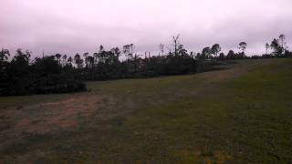 Bessemer  Alabama tornado hit frank house golf c [upl. by Chrisy141]