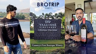 Vlog 45  Vallonne Vineyards  Country’s First Boutique Winery at Igatpuri Nashik [upl. by Dyol111]