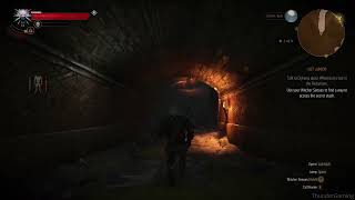 The Witcher 3 Get Junior use your Witcher Sense to Find Secret Stach [upl. by Hasina]