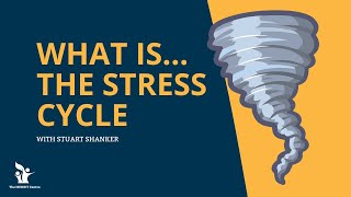 What is The Stress Cycle With Stuart Shanker [upl. by Ainattirb]