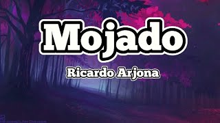 Ricardo Arjona 🎶 El mojado  letra [upl. by Assillim]