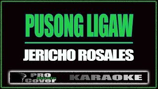 Pusong ligaw  Jericho Rosales KARAOKE [upl. by Farl]