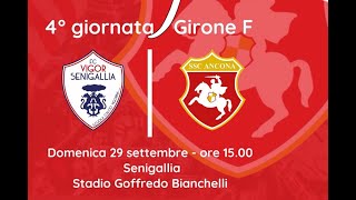 4° Giornata Campionato serie D girone F 20242025 29092024 Vigor Senigallia 1 ANCONA 0 [upl. by Winola]