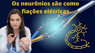 eletrofisiologia nervosa neurônios como fiações elétricas [upl. by Jacynth]