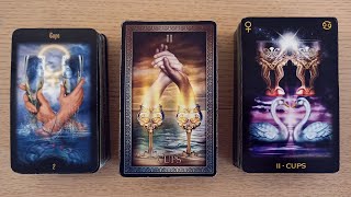 💜🌿Are They Thinking About You 🪻💝 PICK A CARD Timeless Love Tarot [upl. by Vilberg411]