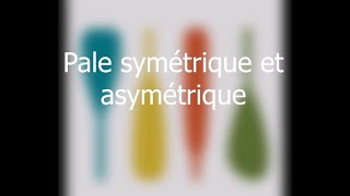 Pagaie Pale Symétrie vs asymétrie  Pagaie Québec [upl. by Rayna]