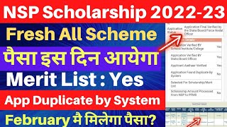 NSP Fresh All Scheme Payment kab milega  NSP Merit List 202223  NSP Payment 2022  New Update [upl. by Jaquelin]