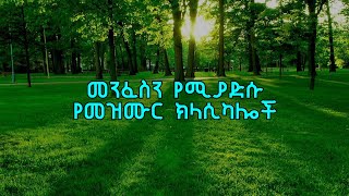 Ethiopian protestant mezmur classical  Ethiopian Instrumentals [upl. by Ahsaetan88]